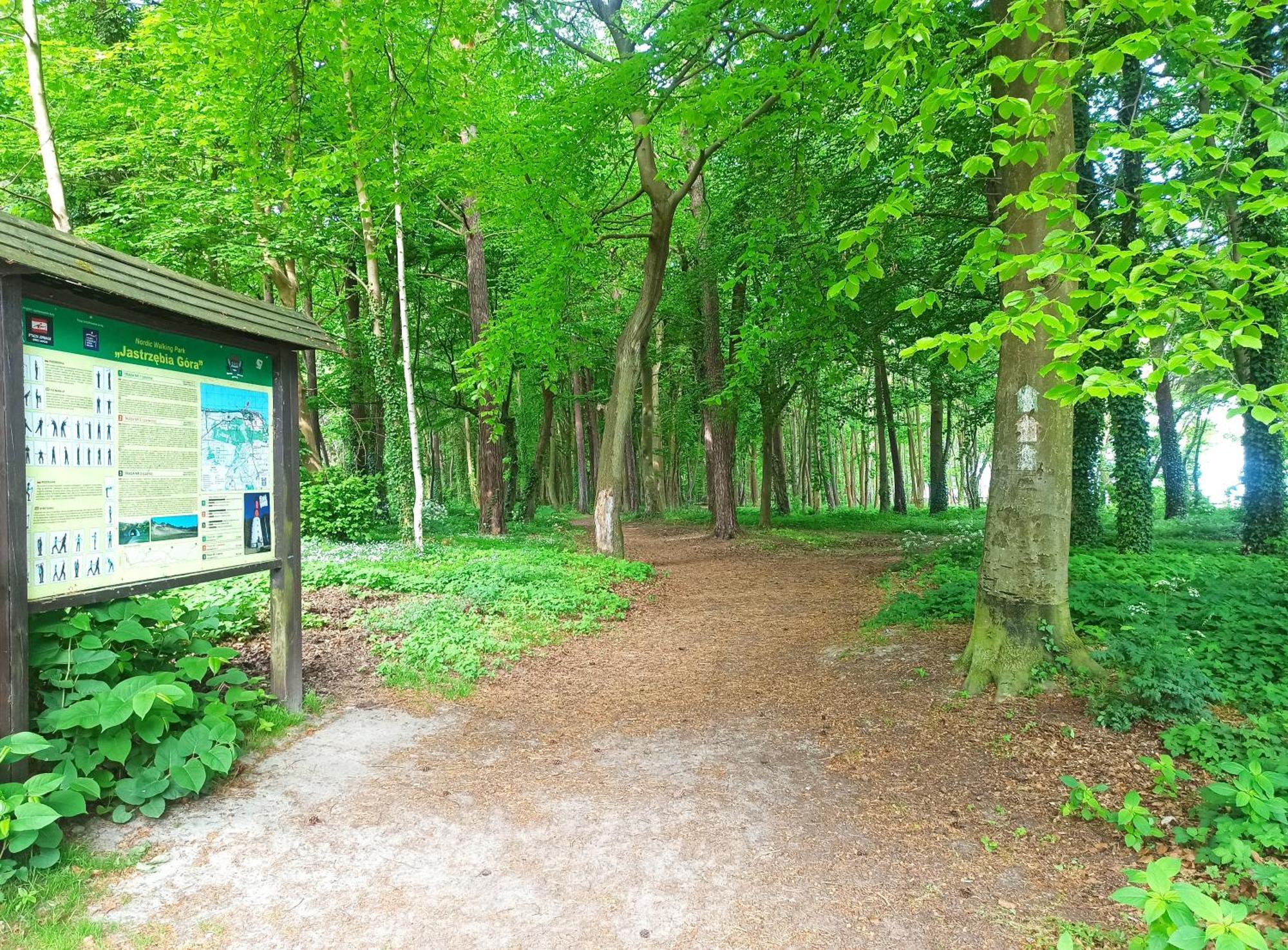 Komfort Alexa Jastrzębia Góra المظهر الخارجي الصورة